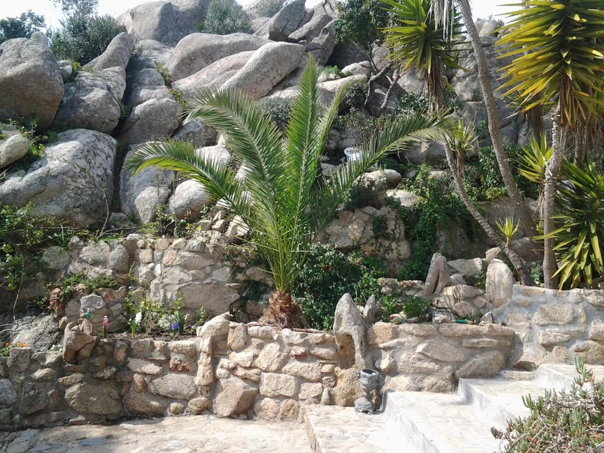 La Fonte Dell'Ulivo 3 Bed & Breakfast La Maddalena  Exterior photo