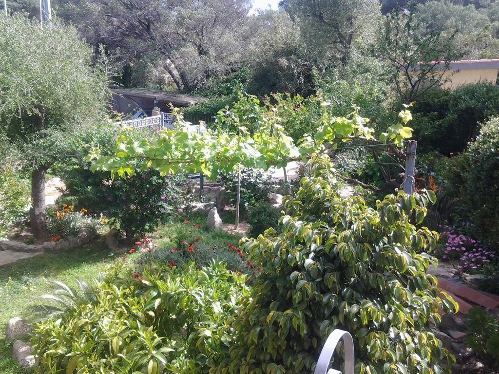 La Fonte Dell'Ulivo 3 Bed & Breakfast La Maddalena  Exterior photo